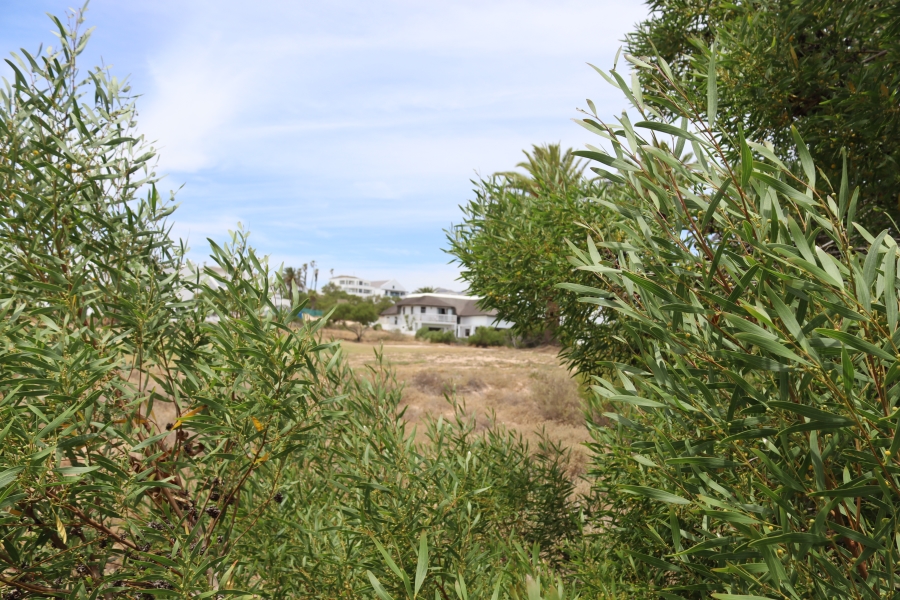 0 Bedroom Property for Sale in Shelley Point Western Cape